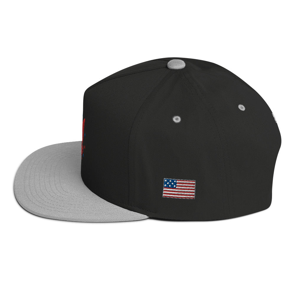 America Flat Bill Cap