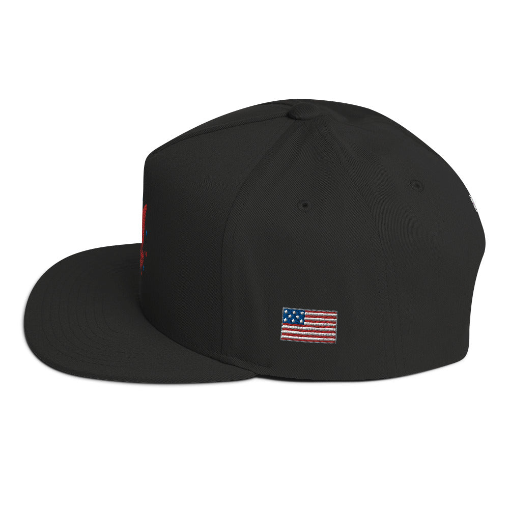 America Flat Bill Cap
