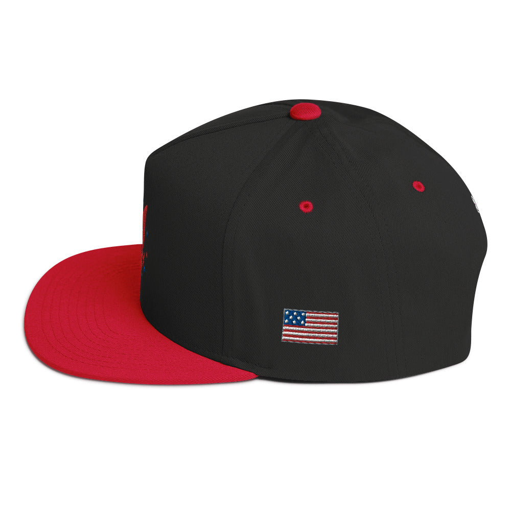 America Flat Bill Cap