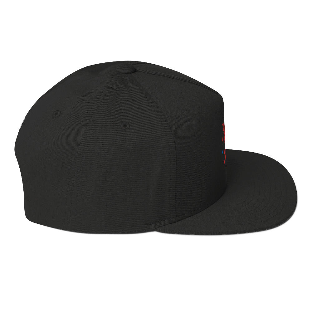 America Flat Bill Cap