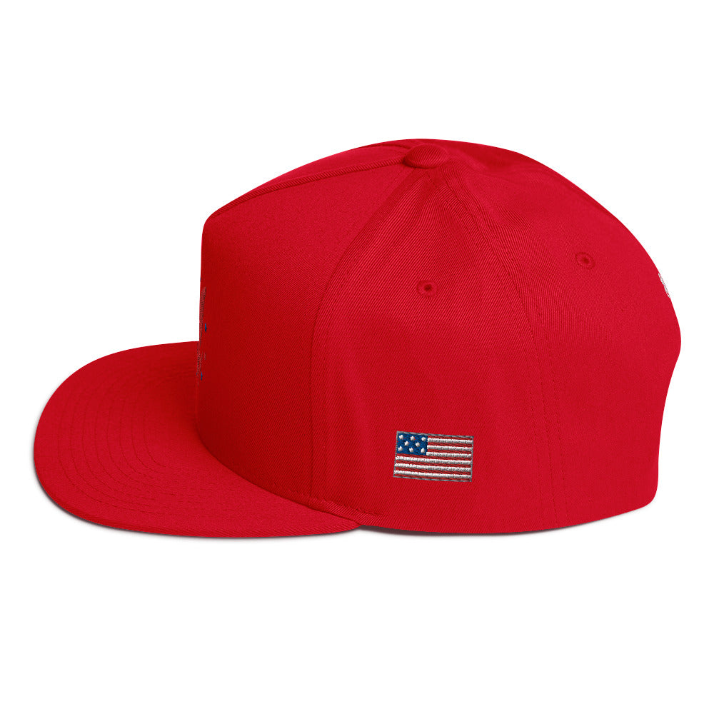 America Flat Bill Cap