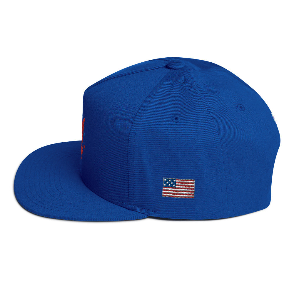 America Flat Bill Cap