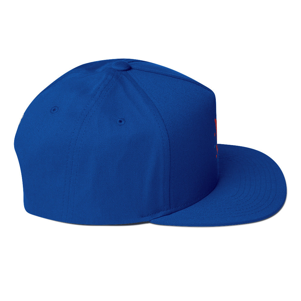 America Flat Bill Cap