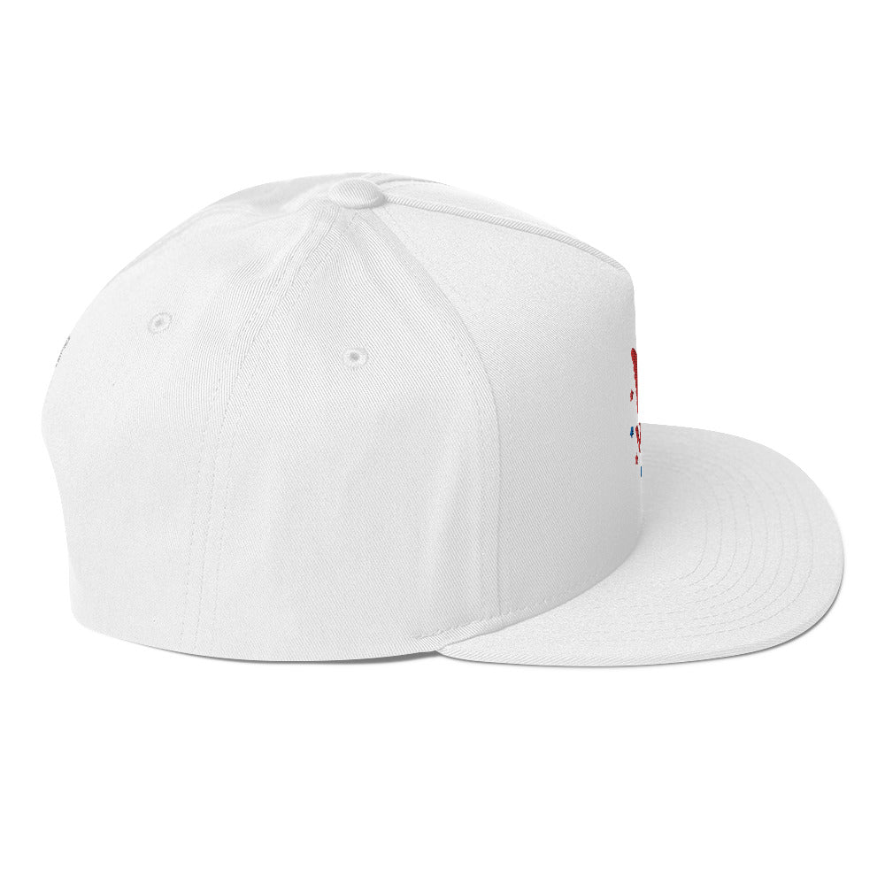 America Flat Bill Cap
