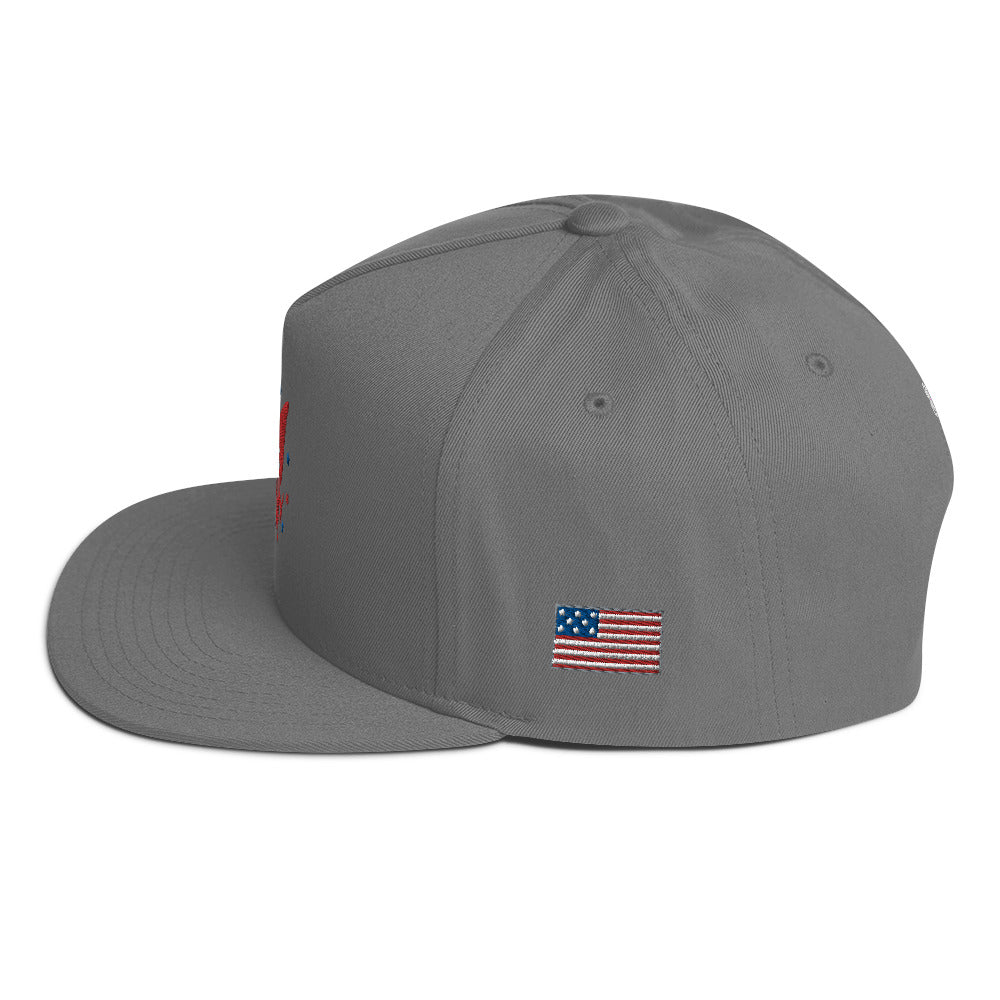 America Flat Bill Cap
